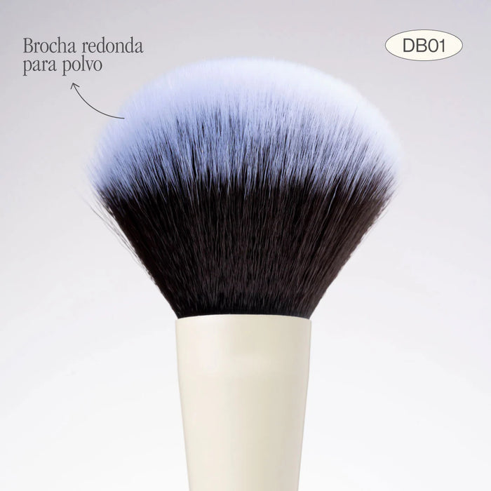Brocha Atenea Duo Polvo y Rubor Db01