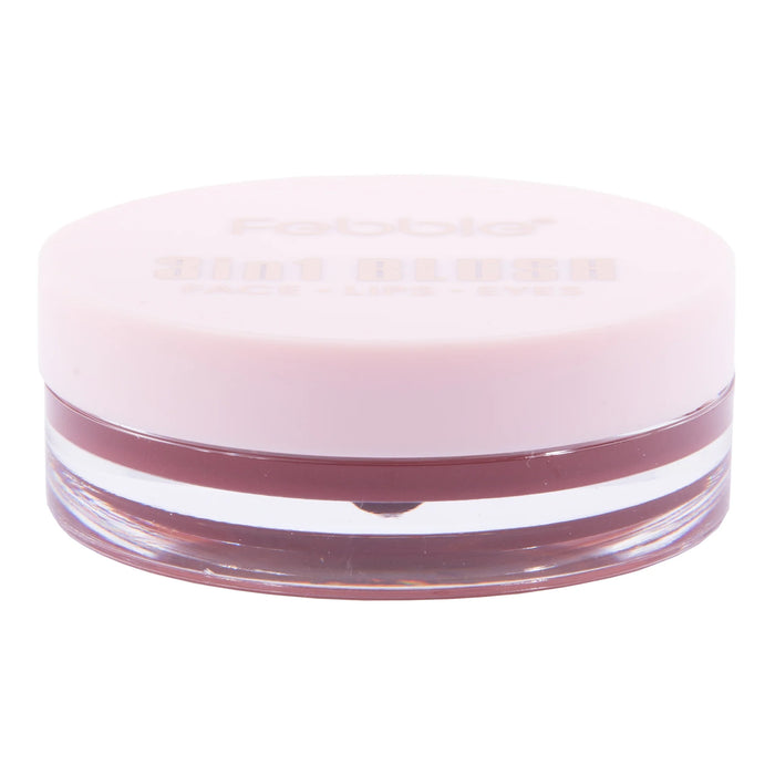 Blush 3 en 1 Febble